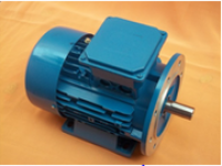 Single Phase Motor