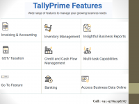 What Is Tallyprime & Benefits?