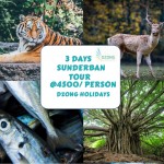 3 Days Sunderban Tour