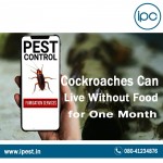 Cockroach Prevention Services