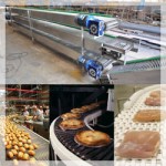 Conveyor Systems For Food & Beverage Industries