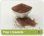 Flax Seeds