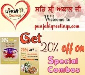 20% Off On Special Combos-punjabi Gifts ,books & More Items