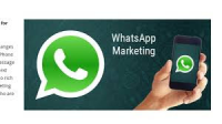 Whatsapp Marketing