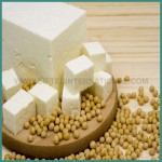 Soya Milk Processing Plant Manufacturers India