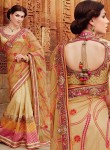 Outstanding Beige Embroidered Lace Work Saree