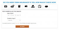 Term Insurance