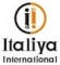 Italiya International