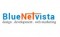 Bluenetvista web services