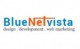 Bluenetvista Web Services