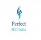 Perfect Seo India - Perfect Partner Of Internet Marketing